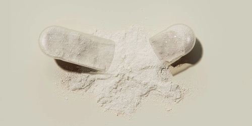 The Key Benefits of Royal Jelly Supplements for Enhanced Health and Vitality