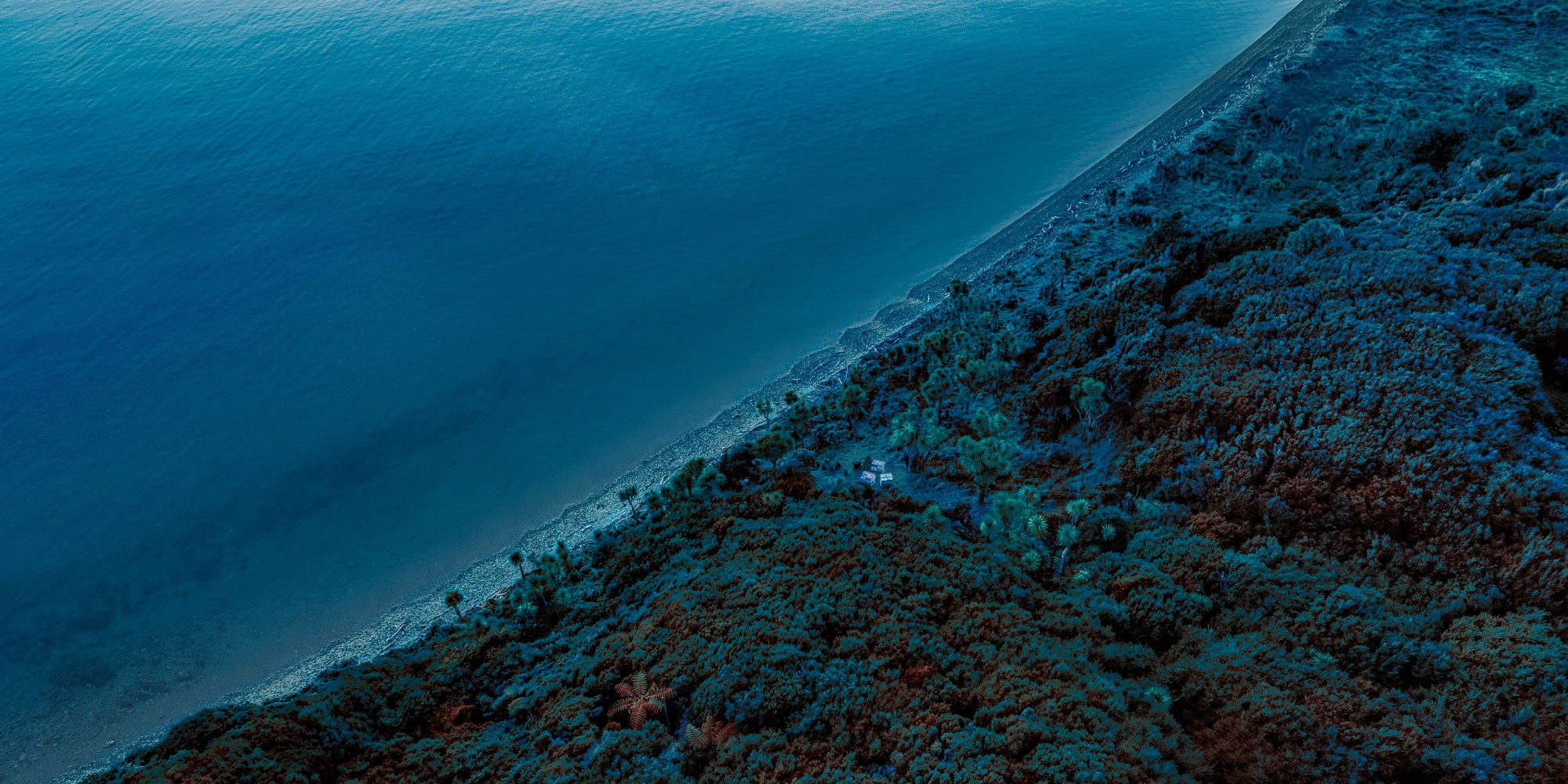 POHUENUI ISLAND - NEW ZEALAND